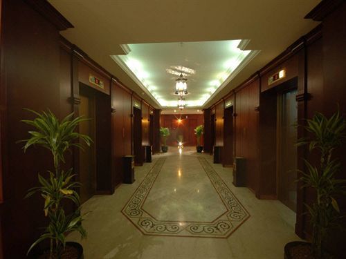 الشهداء 5*